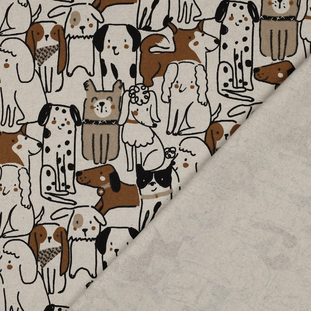 Cats & Dogs