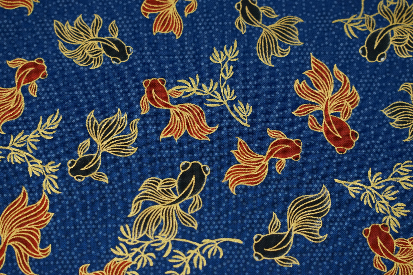 Equilibrio dei Pesci Rossi - Demekin to Oranda - Blu Navy