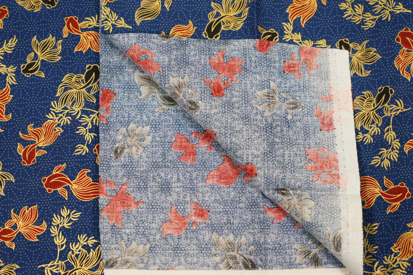 Equilibrio dei Pesci Rossi - Demekin to Oranda - Blu Navy