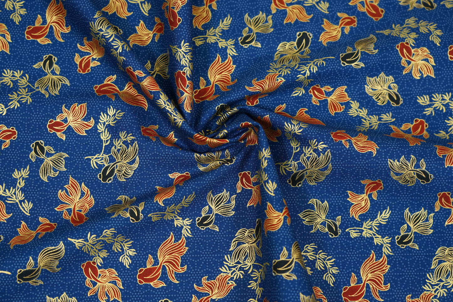 Equilibrio dei Pesci Rossi - Demekin to Oranda - Blu Navy