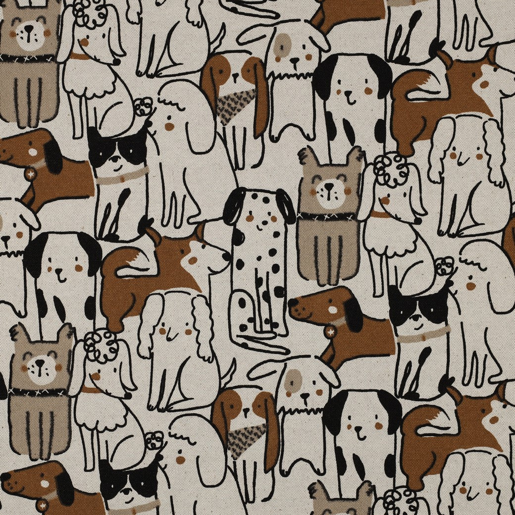 Cats & Dogs