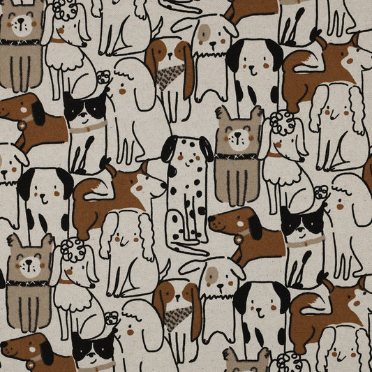 Cats & Dogs