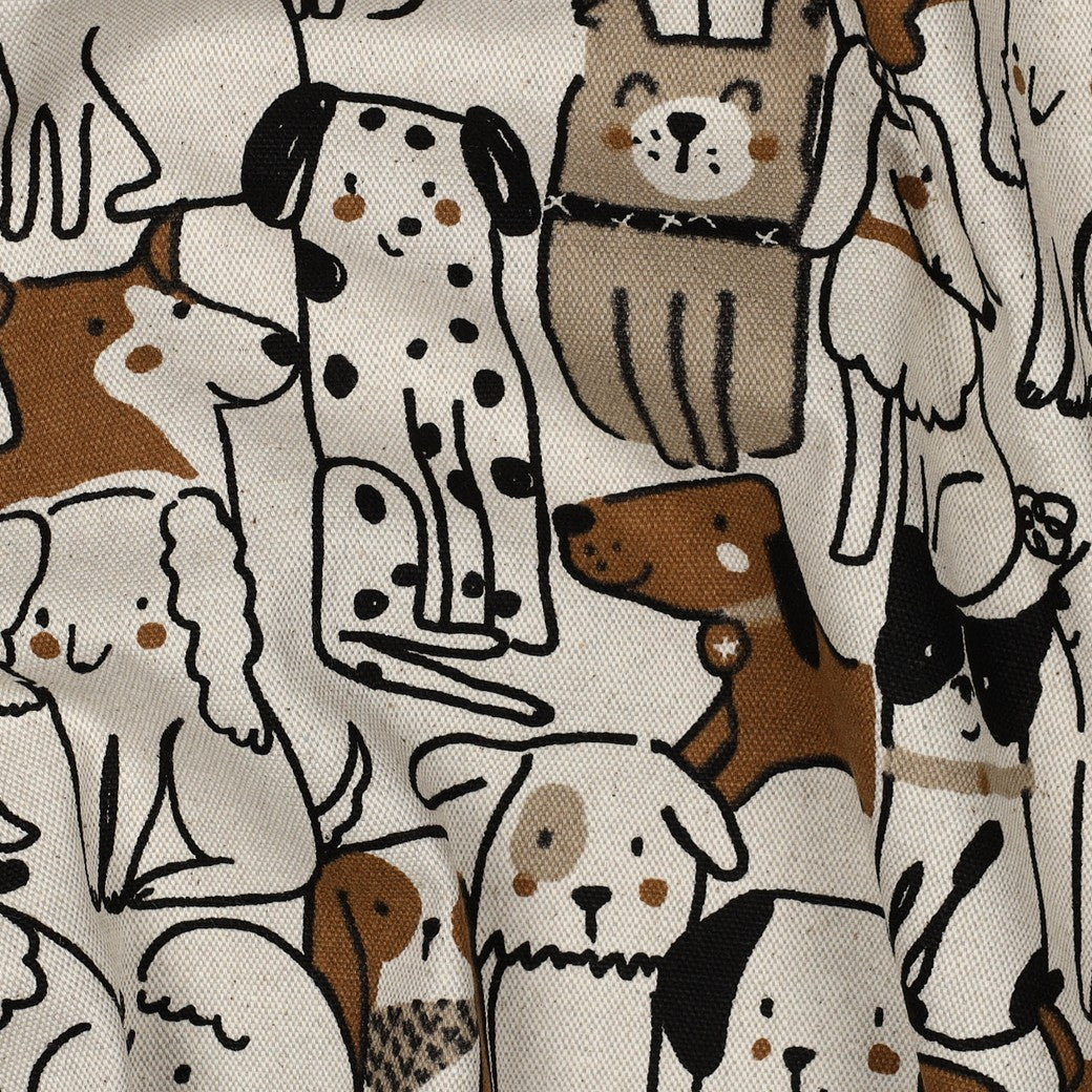 Cats & Dogs