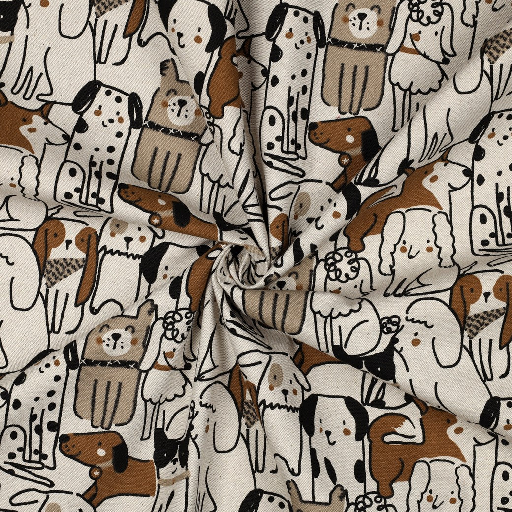 Cats & Dogs