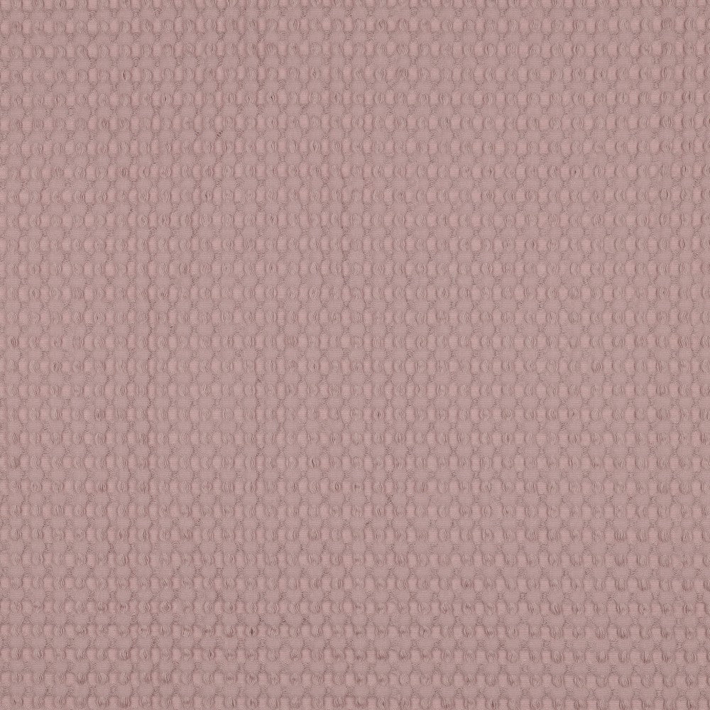 Malva - Big Waffle