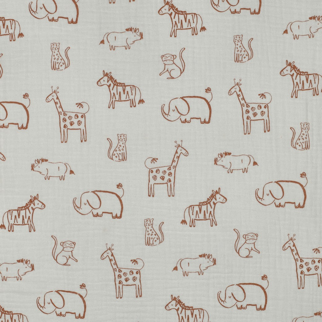 Safari