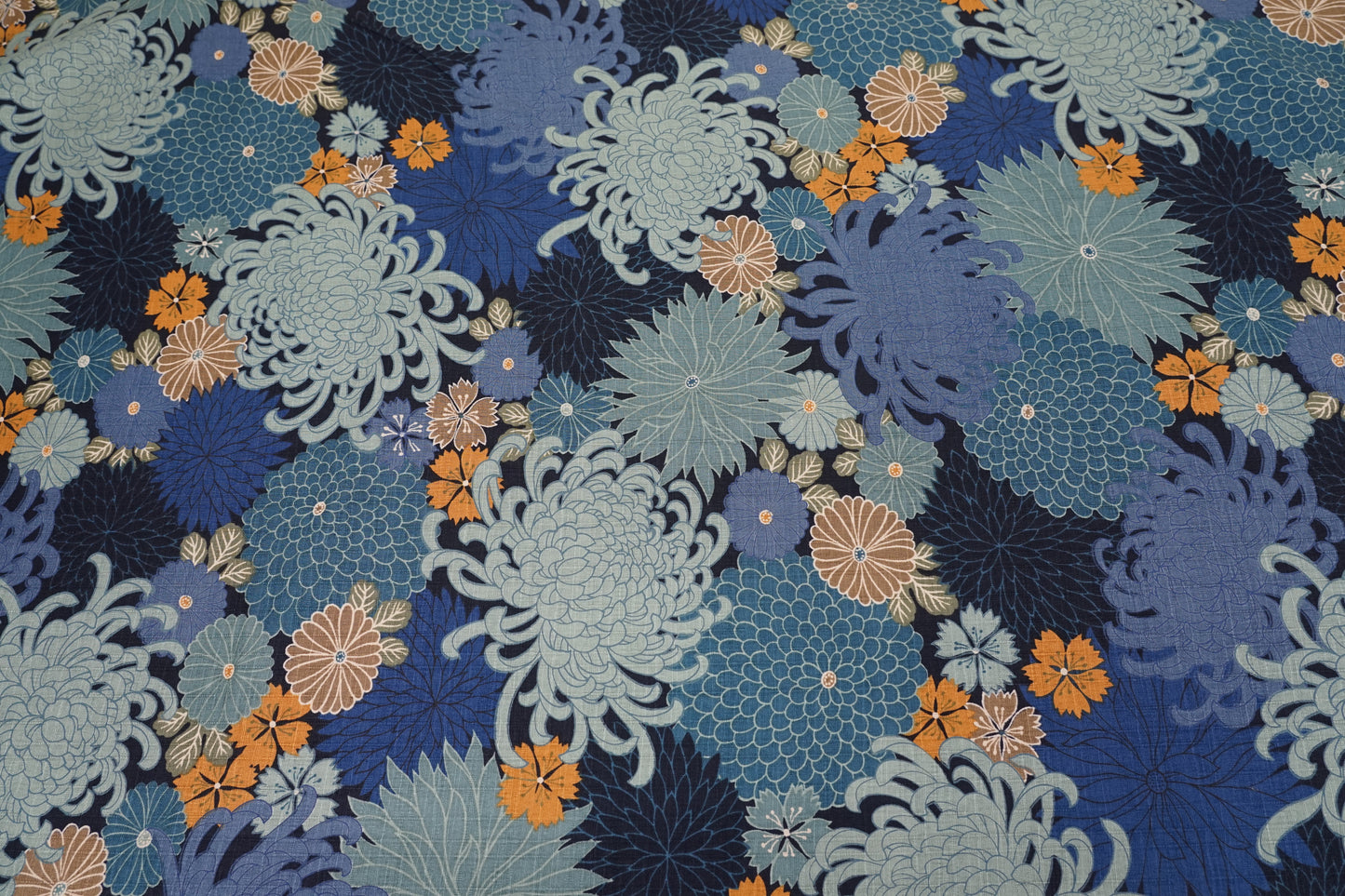Crisantemi d'Autunno - Aki Kiku - Blu Navy