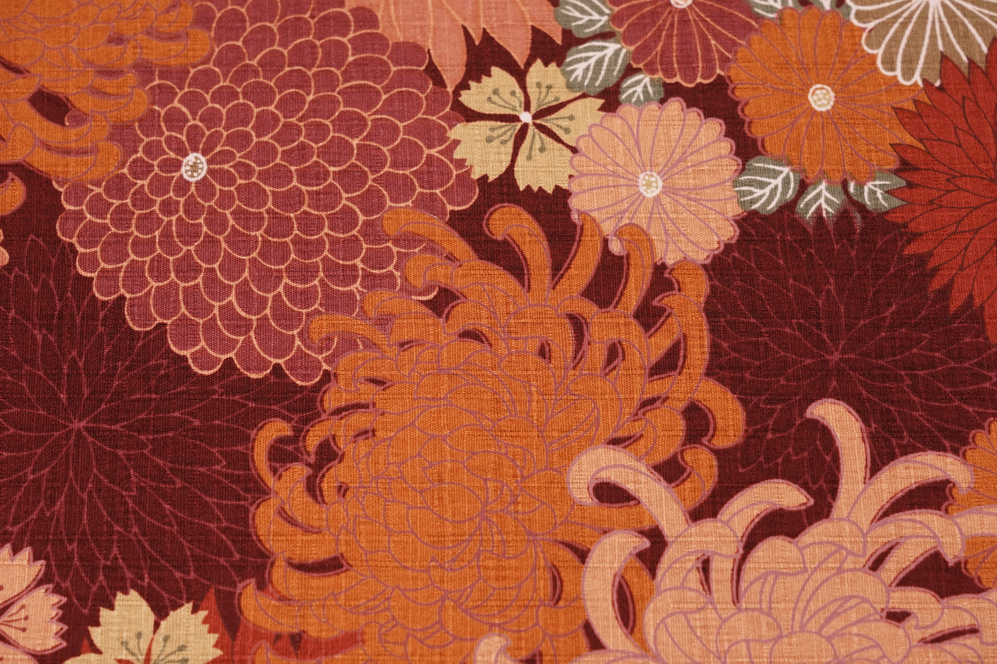 Crisantemi d'Autunno - Aki Kiku - Bordeaux