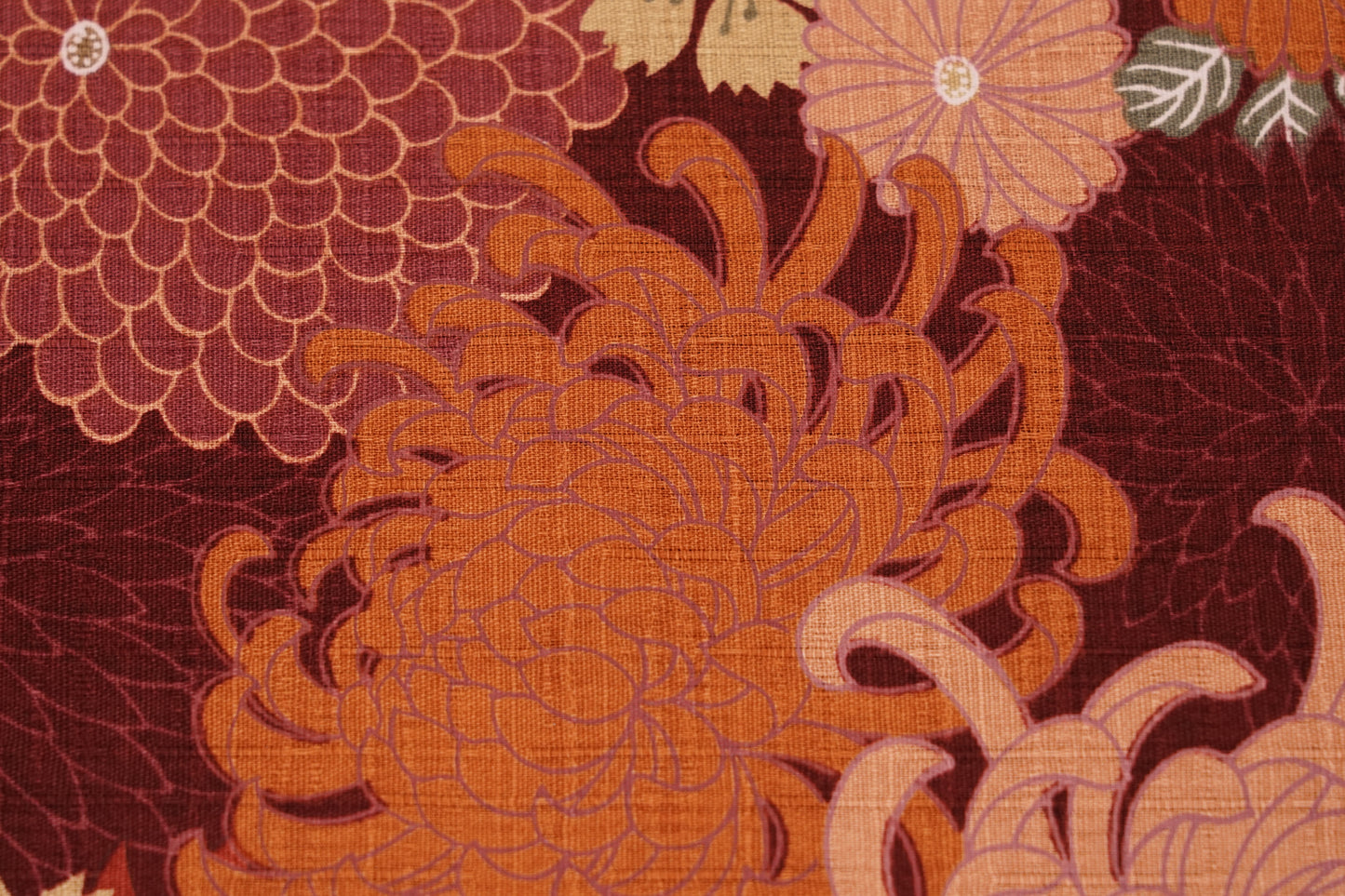 Crisantemi d'Autunno - Aki Kiku - Bordeaux