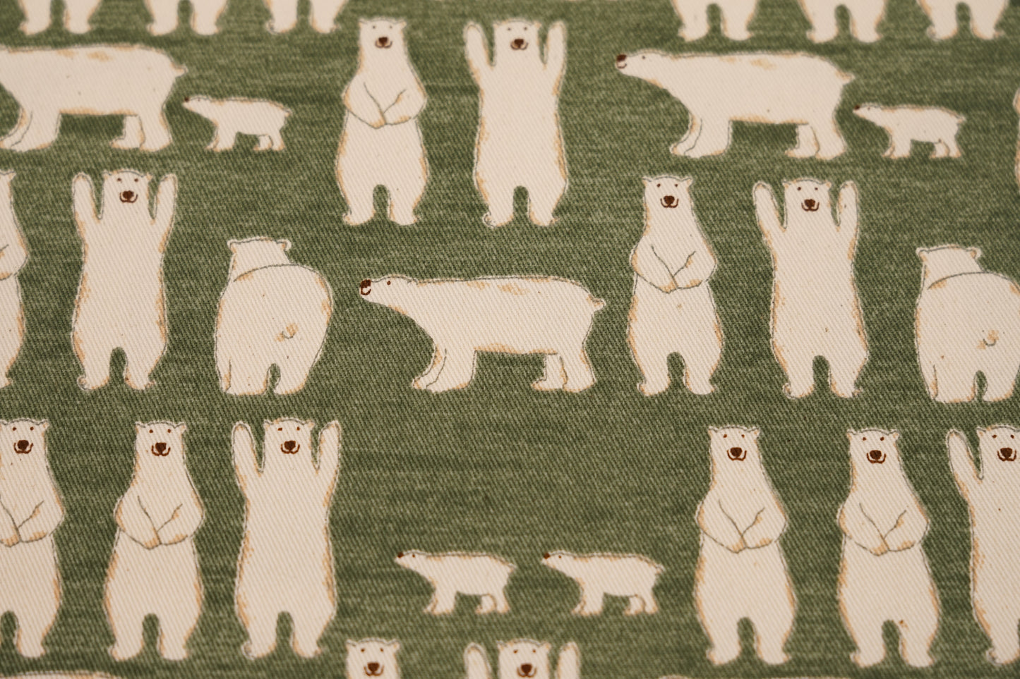 Orso Polare Pop - Shirokuma Pop - Verde