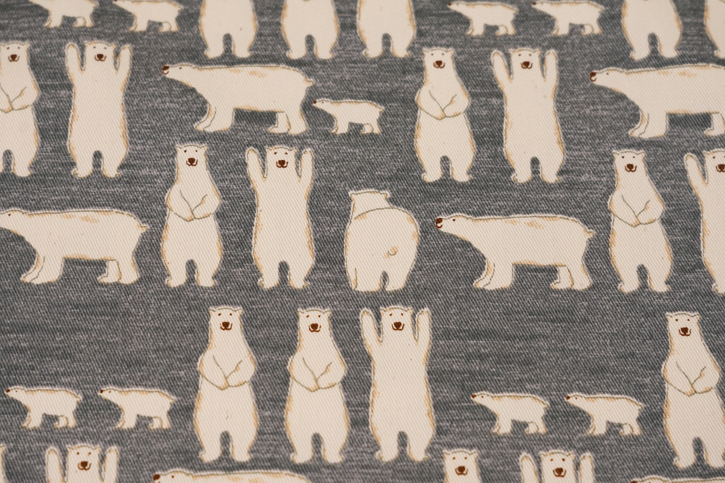Orso Polare Pop - Shirokuma Pop - Carta da zucchero