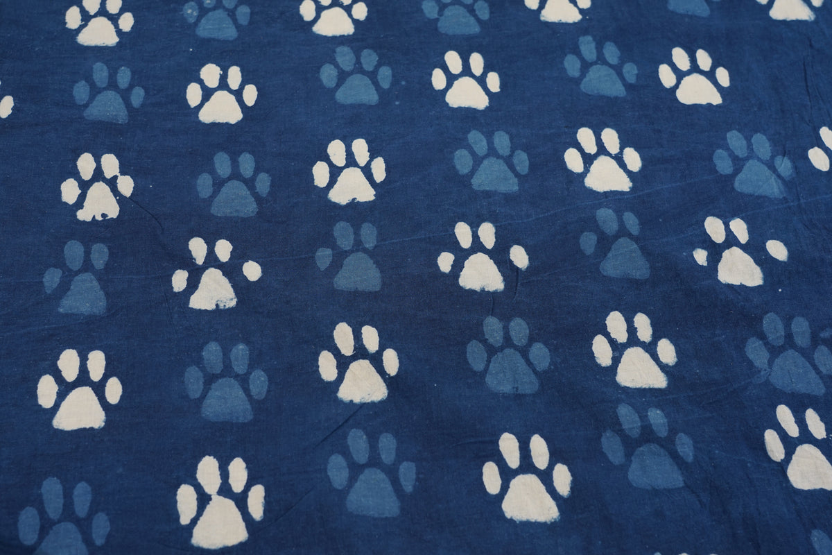 Bagru Indaco - Paws