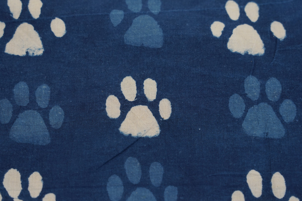 Bagru Indaco - Paws