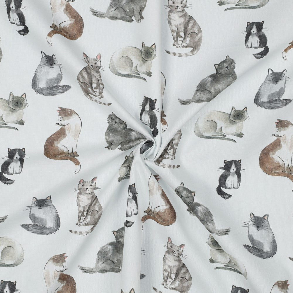 Gatti
