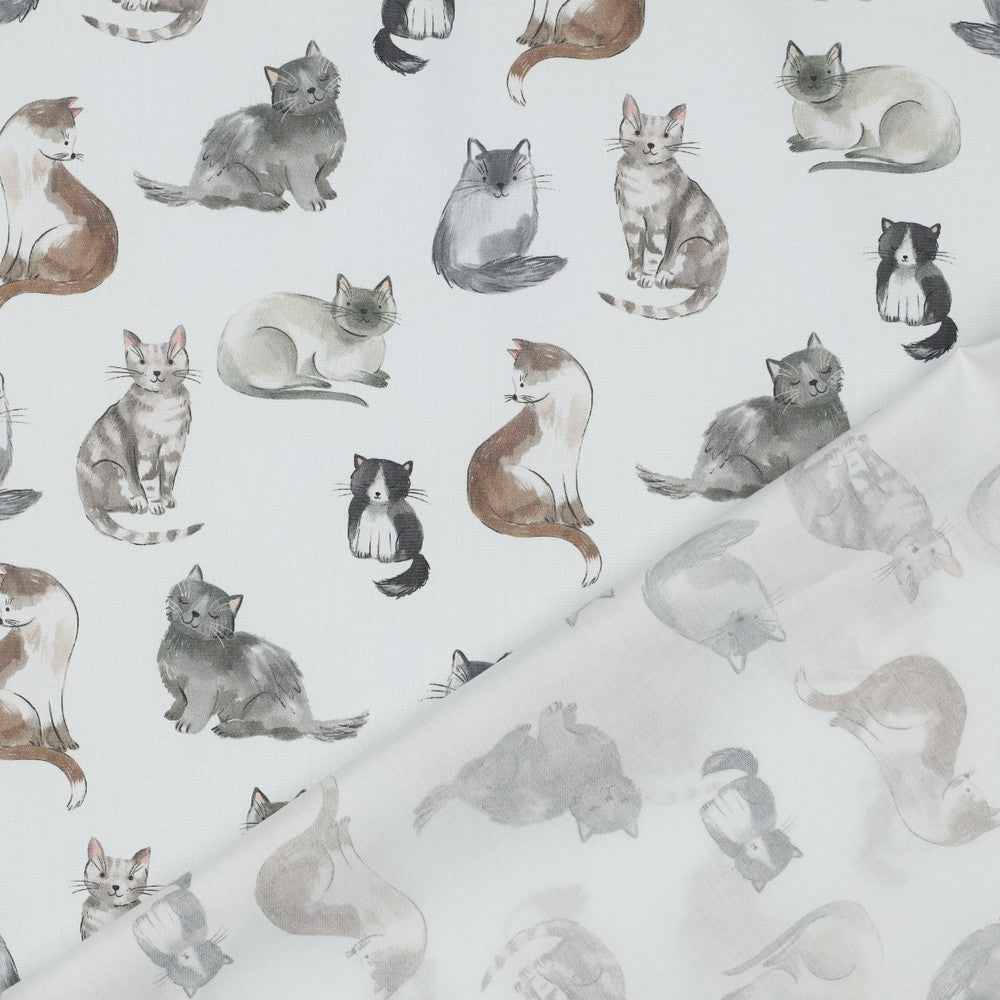 Gatti